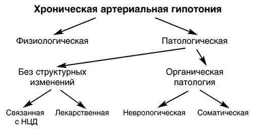 Гипотония - виды, признаки, лечение