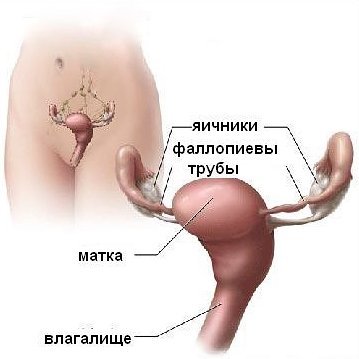 Маточное кровотечение - причины, признаки, симптомы и лечение