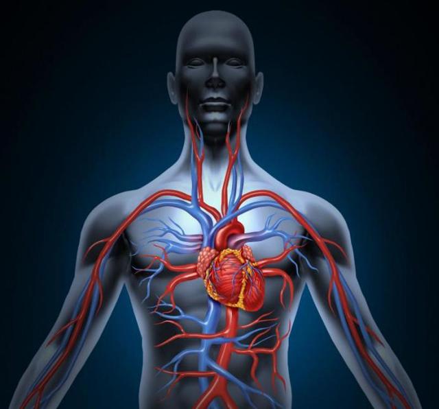 Вазапростан - инструкция по применению, описание, отзывы пациентов и врачей, аналоги