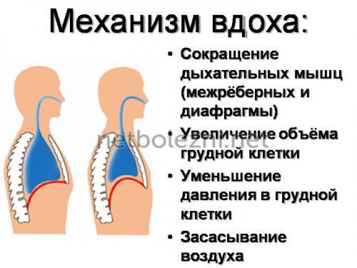 Тяжело дышать не хватает воздуха что делать
