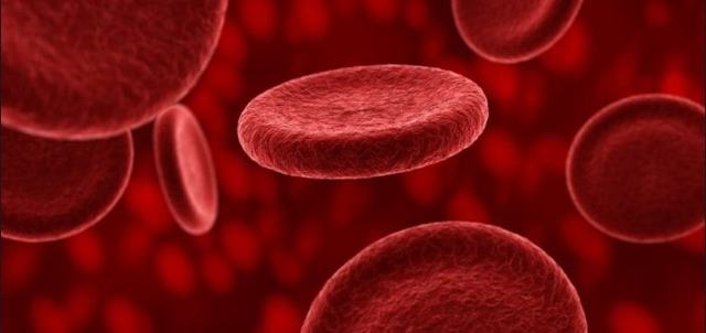 Тромбоциты., Свойства тромбоцитов., Функции тромбоцитов. - Форменные элементы крови. Норма и патология