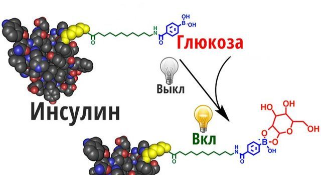Гормон инсулин - все что нужно знать для похудения или набора массы