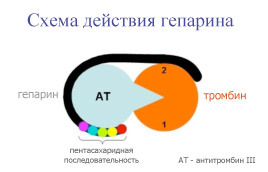 Антитромбин III (определение уровня в плазме крови)