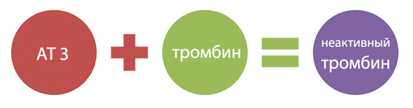 Антитромбин III (определение уровня в плазме крови)