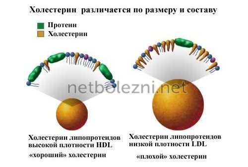 Лекарство для снижения холестерина без побочных эффектов - Про холестерин