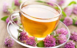 Чистка сосудов народными средствами