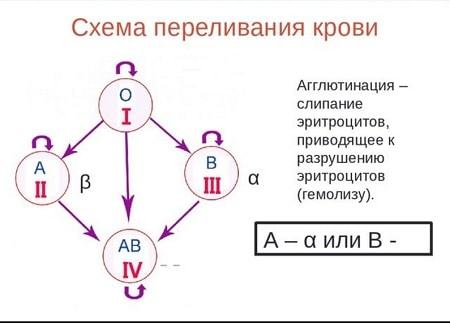 Гемотрансфузия: это что такое, правила проведения, осложнения