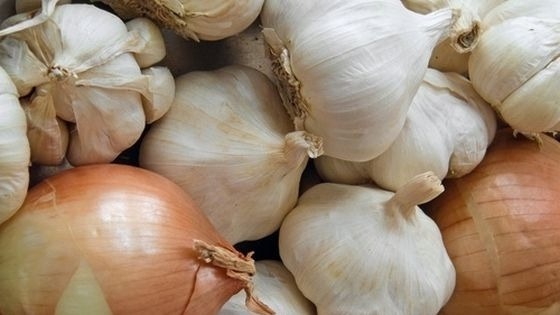 Как лечить стенокардию сердца, используя народные методы