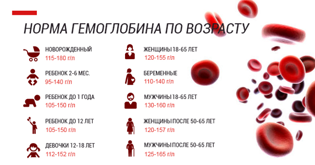 Повышенный гемоглобин в анализе крови - что означает, признаки, лечение и последствия
