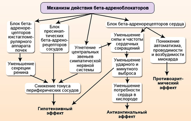 КАПТОПРЕС - инструкция по применению, цена, отзывы и аналоги