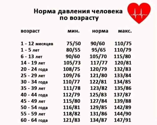 Кровяное давление виды. Что такое кровяное давление