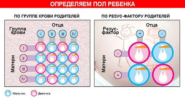 Совместимость крови для зачатия ребенка – таблица совместимости групп крови и резус факторов для зачатия