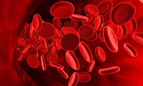 Группа крови – как определить, совместимость, на что влияет?