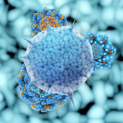 Норма СРБ в биохимическом анализе крови