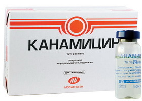 Амикацин для детей: инструкция по применению, как разводить, уколы антибиотиком, отзывы