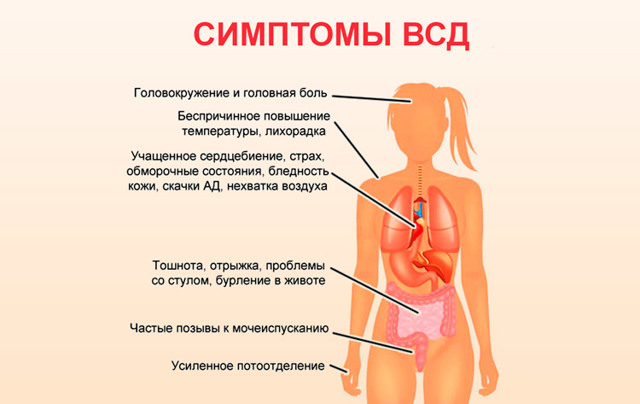 Повышенное сердцебиение, причины и лечение