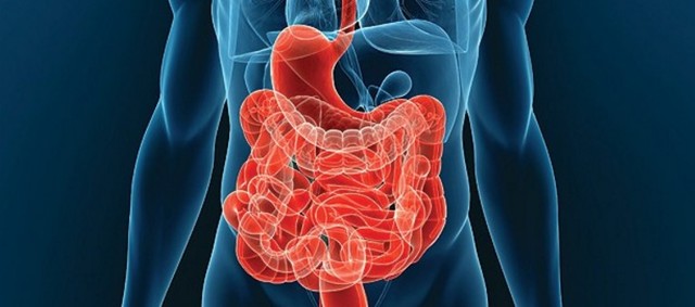 Глицериновые свечи от запора - свойства, применение