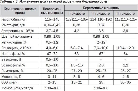 Моноциты в крови повышены при беременности или моноцитоз