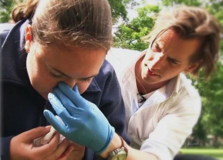 Первая помощь при кровотечении из носа: как правильно оказать медицинскую помощь (алгоритм) при сильном кровотечении, что нужно делать чтобы из носа пошла кровь без боли