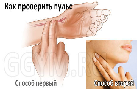 Максимальный пульс у человека: что делать, нормы