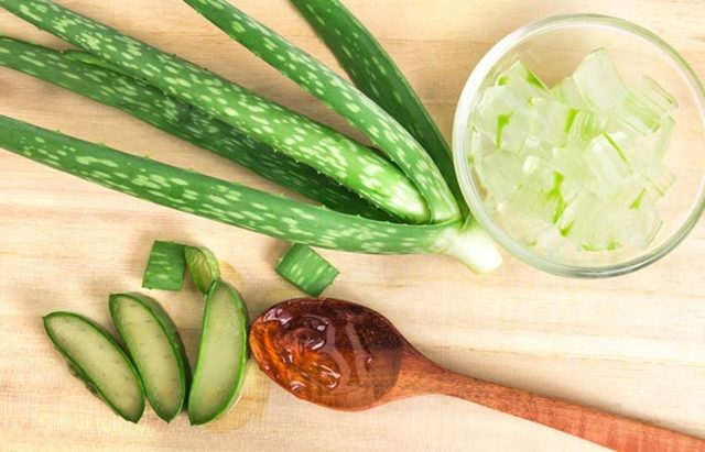 Народные способы лечения геморроя