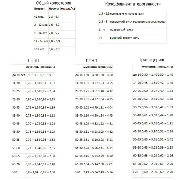 Анализ крови на липидный обмен