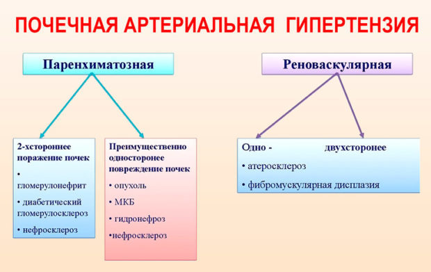 Этиология гипертонической болезни: причины