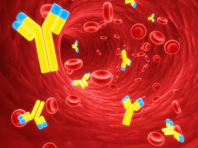 Анти-HCV положительный: что это значит, расшифровка