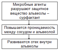 Отек легких – симптомы, причины и лечение отека легких. Неотложная помощь при отеке легких