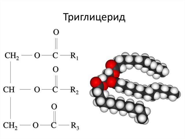 Как понизить уровни триглицеридов и холестерина