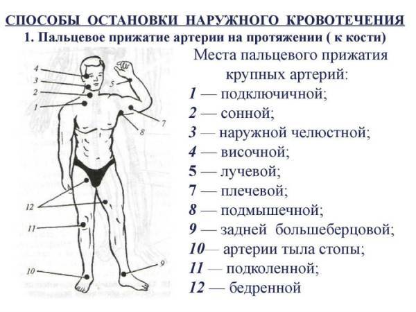 Правила наложения жгута: этапы, особенности, контроль