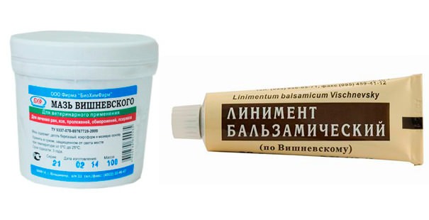 Мазь Вишневского от геморроя - можно ли применять и как помогает? Лечение, отзывы