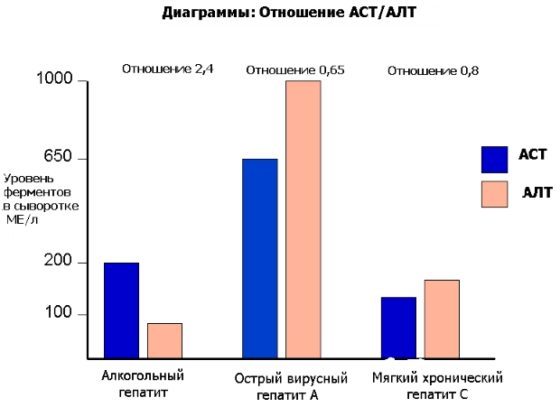 Анализ АСТ с расшифровкой. АСТ биохимия крови - цена в CMD