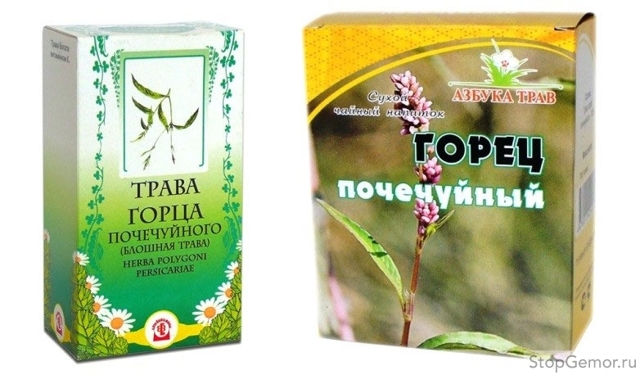 Народные рецепты: Горец почечуйный