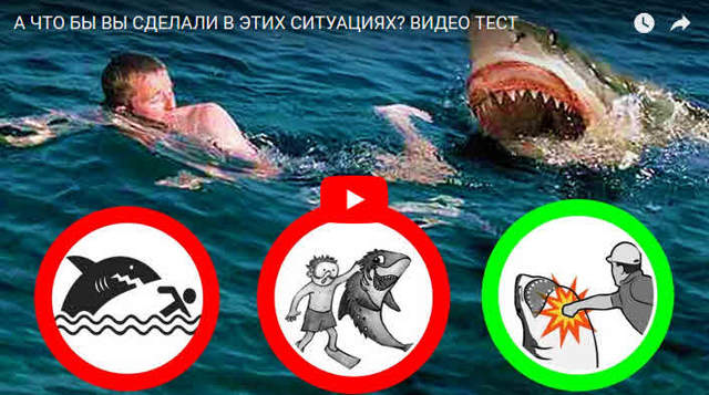 Ихтиоловая мазь – инструкция по применению, от чего помогает, аналоги препарата, отзывы, цена. Что лучше: Ихтиоловая мазь или мазь Вишневского. Ихтиоловые свечи от геморроя и других заболеваний