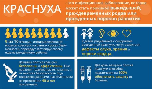 Краснуха у взрослых, лечение, фото и симптомы