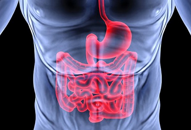 Катаральный гастрит - симптомы и лечение заболевания