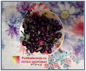 Народные средства для чистки и укрепления кровеносных сосудов головного мозга