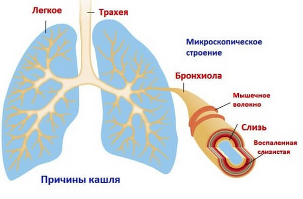 Флюдитек для детей: инструкция по применению сиропа, детские аналоги и отзывы