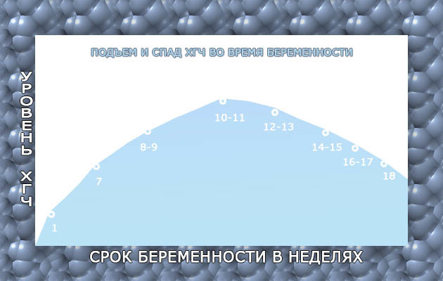Два разных анализа на хгч