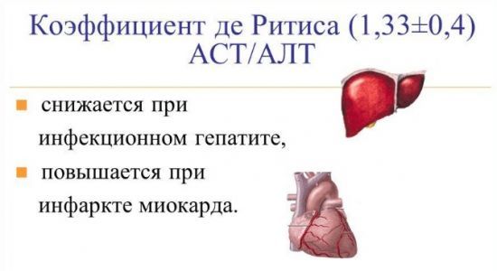Биохимический анализ крови. АЛТ и АСТ: расшифровка показателей