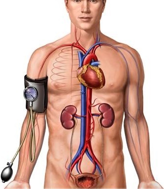 Давление человека, норма по возрасту