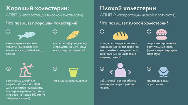 Холестерин плохой и хороший - опасность и норма у женщин