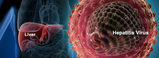 Соотношение аст и алт норма — Лечим печень