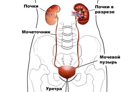 Зуд, жжение при мочеиспускании у женщин - причины, лечение