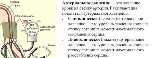 Что показывают цифры артериального давления