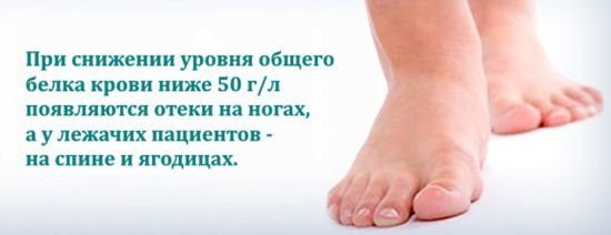 Симптомы и причина низкого белка в крови