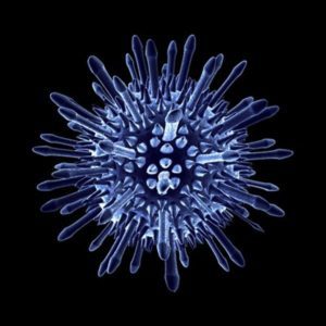 Симптомы и лечение миокардита у детей