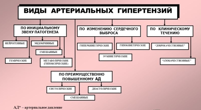 Гипертоническая болезнь: классификация и симптомы
