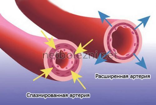 Ингибиторы АПФ: список препаратов при гипертонии. Ингибиторы АПФ – что это такое?